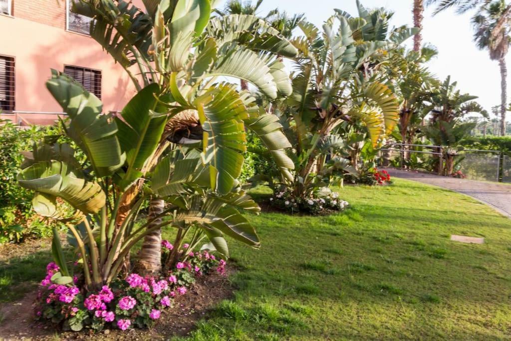 Pushe Playa Granada Beach&Golf 1 Μοτρίλ Εξωτερικό φωτογραφία